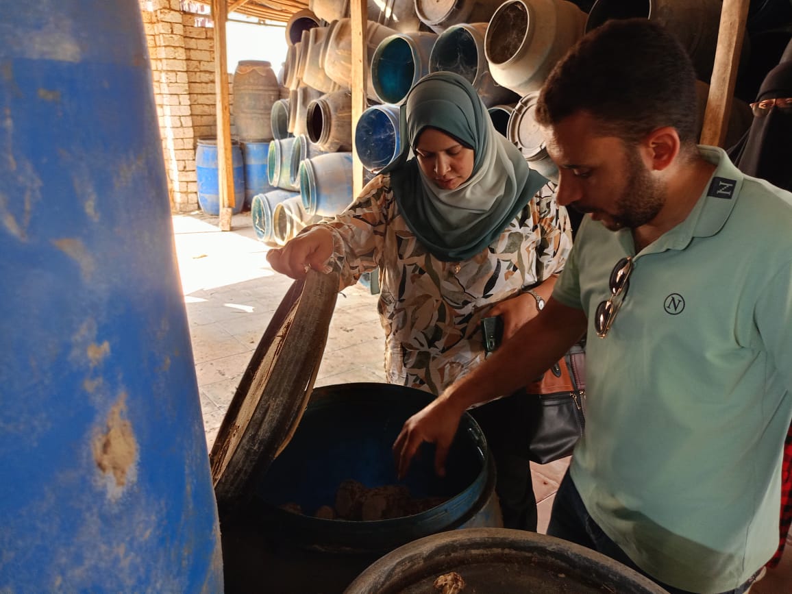 إدارة مراقبة الأغذية بالقليوبية تضبط 600 كيلو جرام من المخلل و 1500 كيلوجرام من المصاصات الغير مطابقة للمواصفات