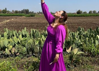 “لافندر لايف”.. عندما تتحول الطبيعة إلى رفاهية فاخرة