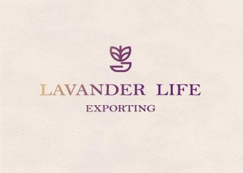 Lavania Innovates Lavender-Scented Stationery to Enhance Focus and Creativity