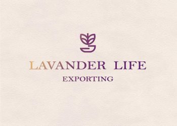 Lava .. العلامة المتميزة التي تعكس روح المرأة المصرية