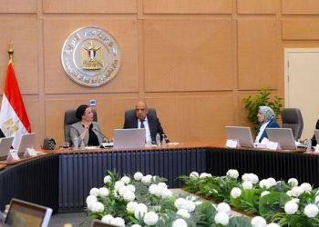 وزيرا الكهرباء والبيئة يبحثان سبل العمل المشترك والتنسيق والتعاون في قضايا البيئة والطاقات المتجددة