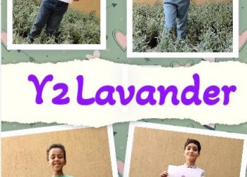 “ Y2 Lavander” أول مشروع صحي للأطفال بهوية اللافندر تتبنّاه شركة لافندر لايف للتصدير