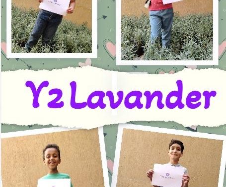 “ Y2 Lavander” أول مشروع صحي للأطفال بهوية اللافندر تتبنّاه شركة لافندر لايف للتصدير