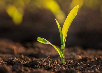 الزراعة الذكية