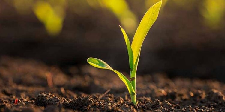 الزراعة الذكية