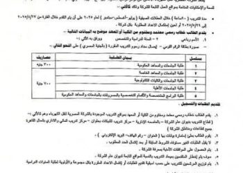 “المصرية لنقل الكهرباء” تعلن بدء تلقي طلبات التدريب الصيفي لطلبة الجامعات والمعاهد 