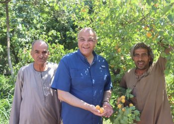 محافظ القليوبية في جولة تفقدية لإحدى مزارع الفراولة التي تستخدم أحدث طُرق الزراعة الحديثة والري 