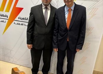 ترفع إنتاجها إلى 20.9 مليار كيلووات ساعه.. تفاصيل عمومية موازنة الوجه القبلى للكهرباء عن العام المالي الجديد ٢٠٢٥/٢٠٢٦ 