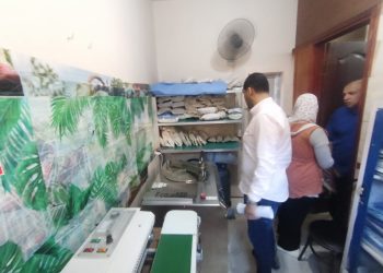 في حملة للعلاج الحر: التوصية بغلق 28 منشأة مخالفة وإنذار 6 أخرى بمدينة الكردى