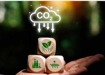 شهادات الكربون