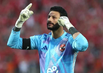 محمد الشناوي