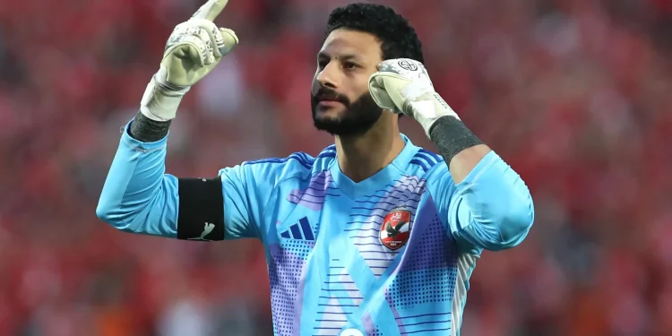 محمد الشناوي