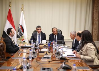 وزير قطاع الأعمال يبحث مع رئيس هيئة الشراء الموحد تعزيز التعاون في قطاع الأدوية والمستلزمات الطبية