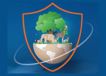 دور التأمين في حماية التنوع البيولوجي: ركيزة للاستدامة البيئية والاقتصادية