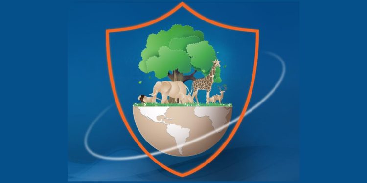 دور التأمين في حماية التنوع البيولوجي: ركيزة للاستدامة البيئية والاقتصادية