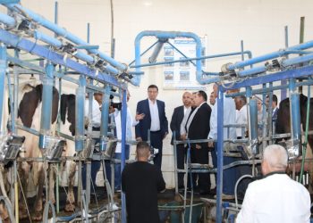 وزير الزراعة ومحافظ الشرقية يتفقدان مشروع الصالحية الزراعي المتكامل