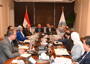وزيرا قطاع الأعمال العام والمالية يبحثان تعزيز التعاون في عدد من الملفات المشتركة