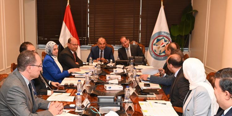 وزيرا قطاع الأعمال العام والمالية يبحثان تعزيز التعاون في عدد من الملفات المشتركة