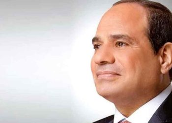 الرئيس السيسي يؤكد عمق العلاقات التاريخية التي تجمع بين مصر والإمارات