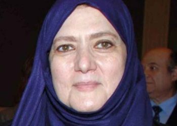 شمس البارودي