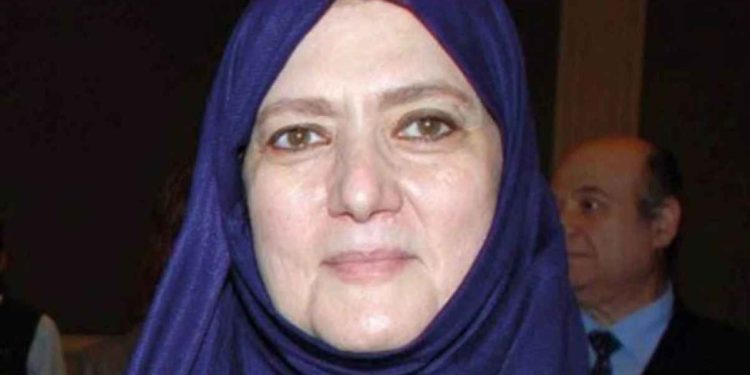 شمس البارودي