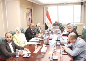 وزير الكهرباء :خفض 19 ألف ميجاوات من الطاقة التقليدية وتقليص الاعتماد على الوقود الأحفوري
