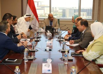 وزير الكهرباء يبحث مع شركة “إيميا باور” الإماراتية التوسع في إقامة المحطات المستقلة لتخزين الطاقة
