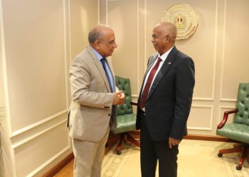 وزيرا الكهرباء المصري والسوداني يبحثان إعادة تأهيل الشبكات وتنفيذ المرحلة الثانية لخط الربط بقدرة 300 ميجاوات