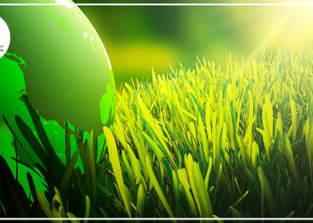 التأمين الأخضر