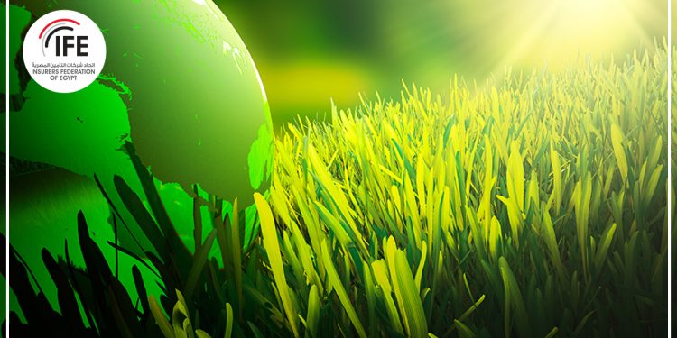 التأمين الأخضر