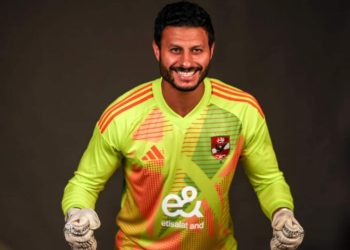 محمد الشناوي