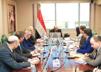 وزير الكهرباء و”جهاز مشروعات الخدمة الوطنية” يبحثان التعاون في متابعة مشروعات التغذية الكهربائية في توشكى وشرق العوينات والروبيكي