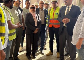 «مشالي » وجولة ميدانية بمشروع محطة محولات مزارع بني سويف جهد ٢٢٠ ك.ف