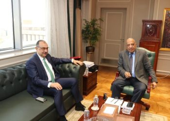 وزيرا الكهرباء وقطاع الأعمال  يبحثان التنسيق والتعاون في مجالات كفاءة الطاقة وترشيد الاستهلاك