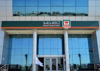 لتوطين صناعة الخامات الدوائية في مصر.. البنك الأهلي المصري يساهم في زيادة رأسمال الشركة العربية للخامات الصيدلية (Arab API)