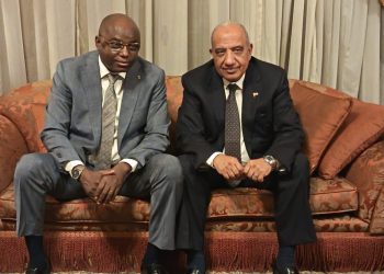 وزير الكهرباء: مصر مستعدة لنقل خبراتها لتشاد في مجالات الكهرباء والطاقة المتجددة