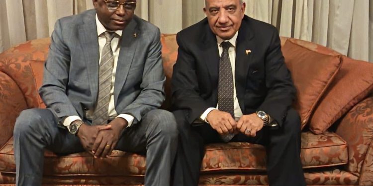 وزير الكهرباء: مصر مستعدة لنقل خبراتها لتشاد في مجالات الكهرباء والطاقة المتجددة