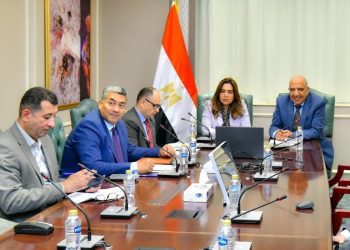 وزيرا الكهرباء والتنمية المحلية يبحثان التعاون فى قضايا البيئة والطاقات المتجددة والموارد الطبيعية