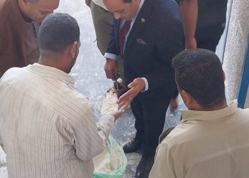 تموين القليوبية تُشن حملات موسعة التشديد الرقابة على الأسواق 