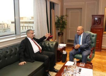 وزير الكهرباء يبحث مع وزير الطاقة بالجزائر  سبل التعاون المشترك