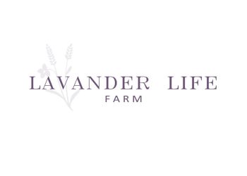 Lavander Life Farm Leads in Lavander Production and Exports Its Oil to International Markets