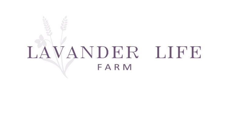 Lavander Life Farm Leads in Lavander Production and Exports Its Oil to International Markets
