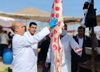 “الزراعة”: ضبط أكثر من 682 طنًا من اللحوم غير الصالحة وتحرير 1060 محضرًا خلال نوفمبر