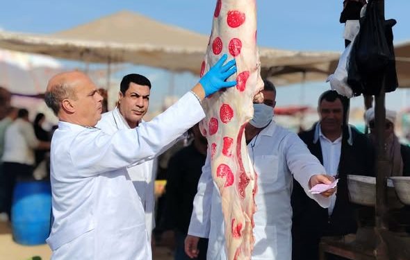 “الزراعة”: ضبط أكثر من 682 طنًا من اللحوم غير الصالحة وتحرير 1060 محضرًا خلال نوفمبر
