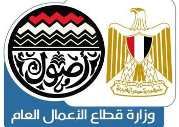 وزارة قطاع الأعمال العام في 2025.. حصاد عام من الإنجازات