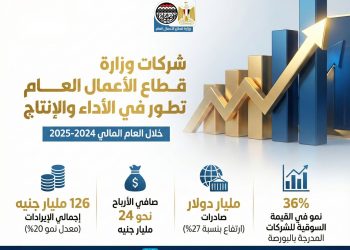 بالإنفوجراف.. حصاد شركات قطاع الأعمال خلال العام المالي 2024 – 2025