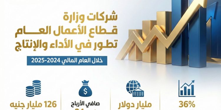 بالإنفوجراف.. حصاد شركات قطاع الأعمال خلال العام المالي 2024 – 2025