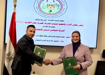 المصرية لنقل الكهرباء توقع عقدًا مع هيتاشي إنيرجي للصيانة والدعم الفني لتشغيل محطة محولات بدر ومحطة سكاكين طابا