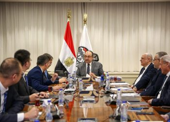وزير قطاع الأعمال العام يستقبل وفدًا رفيع المستوى من مجموعة شاندونج الصينية لبحث فرص التعاون في صناعة المركبات الكهربائية