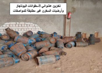 متابعة رقمية وميدانية من لجنة الرقابة بهيئة البترول لعمليات تداول وتوزيع الوقود والبوتاجاز